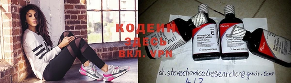 прущий лед Арсеньев