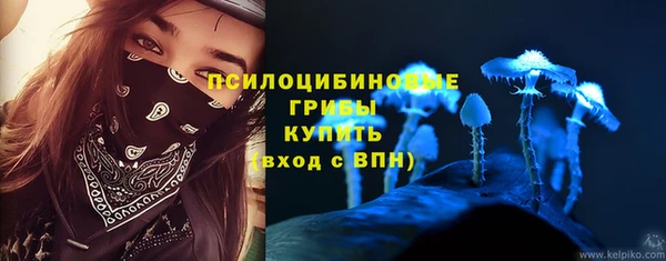 мяу мяу мука Алексин