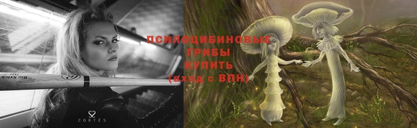 марки nbome Аркадак