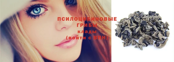 прущий лед Арсеньев