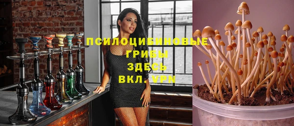 прущий лед Арсеньев
