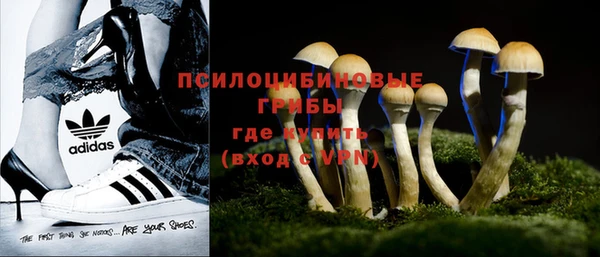 прущий лед Арсеньев