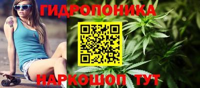 индика Гусиноозёрск