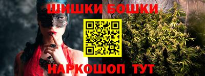 индика Гусиноозёрск