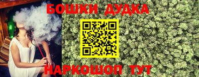 индика Гусиноозёрск