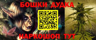 индика Гусиноозёрск