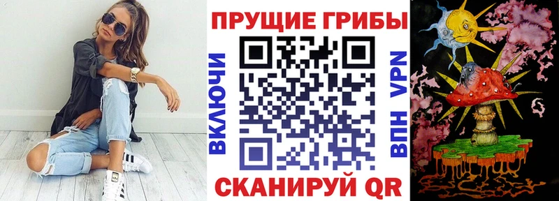 Псилоцибиновые грибы GOLDEN TEACHER Пушкино