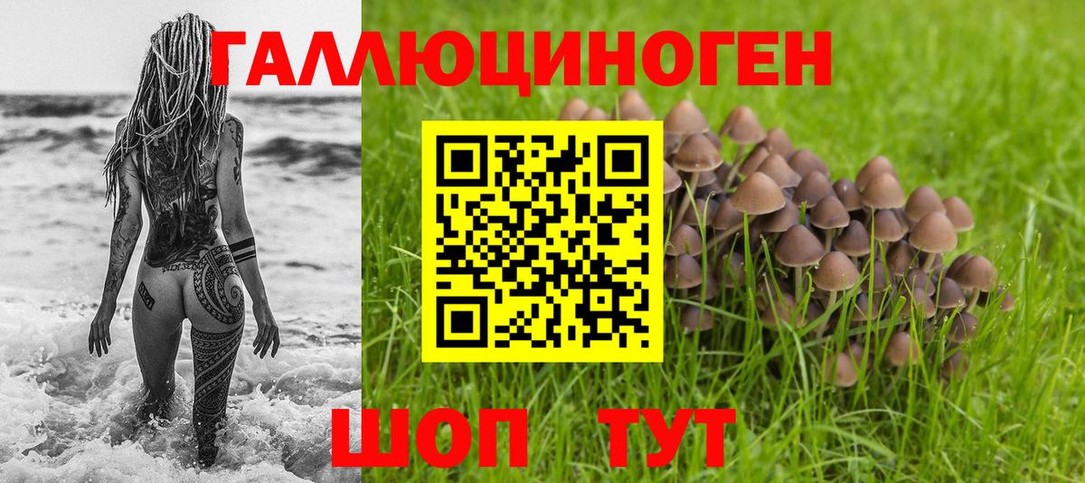 Галлюциногенные грибы мицелий  Галлюциногенные грибы MAGIC MUSHROOMS  сколько стоит  Пушкино  Вход с VPN 
